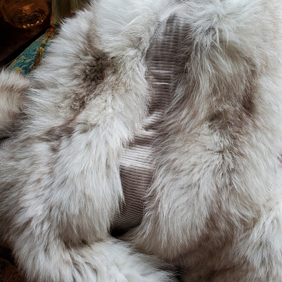 RUSSIAN FOX OOAK ... SIMPLY UNBELIEVABLE. - Picture 4 of 14